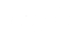 Aubade